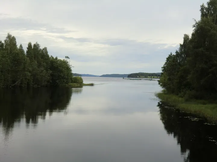 Stilla sjö mellan skogsklädda stränder i Värmland